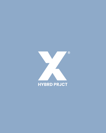 Hybrid Project Training Experience